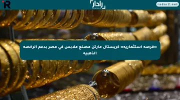 «فرصة استثمارية» كريستال مارتن مصنع ملابس في مصر بدعم الرخصة الذهبية